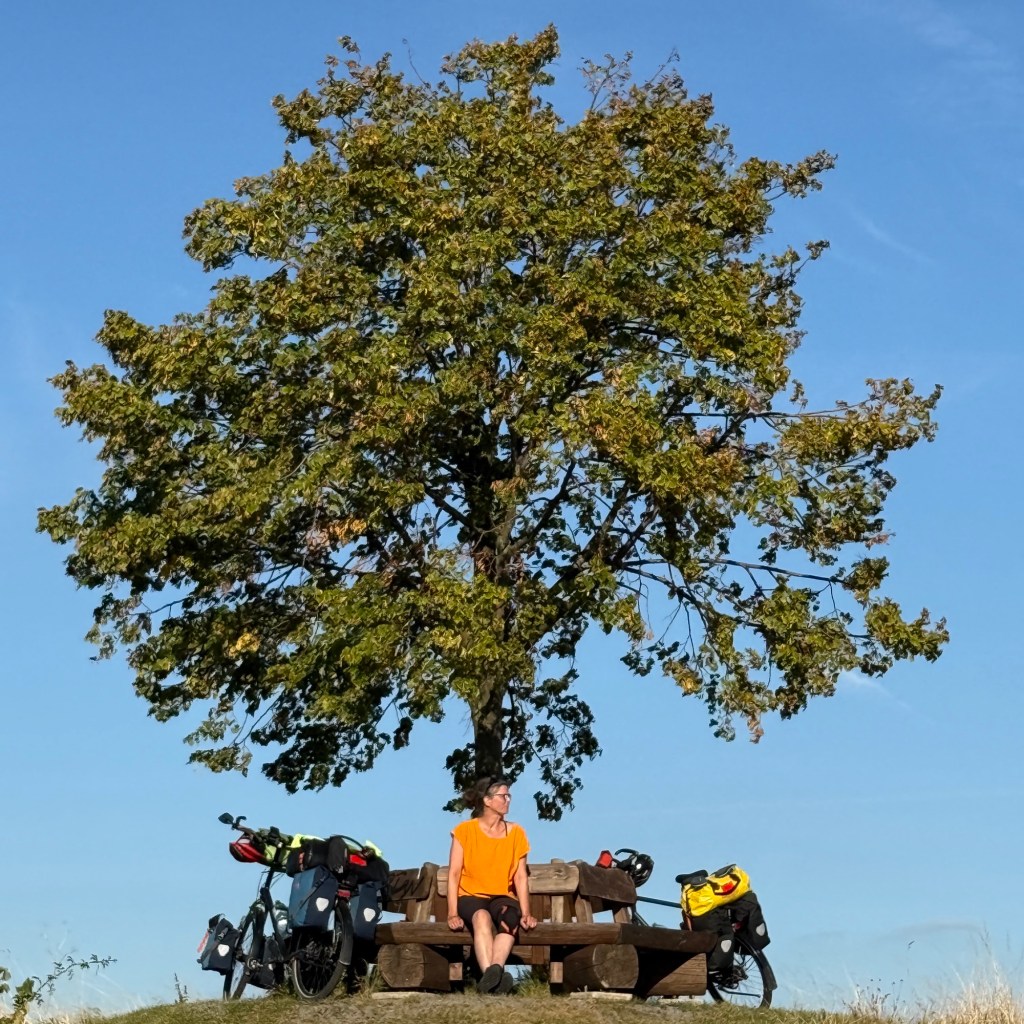 Geschützt: Der unterschätzte&nbsp;Zeitgenosse