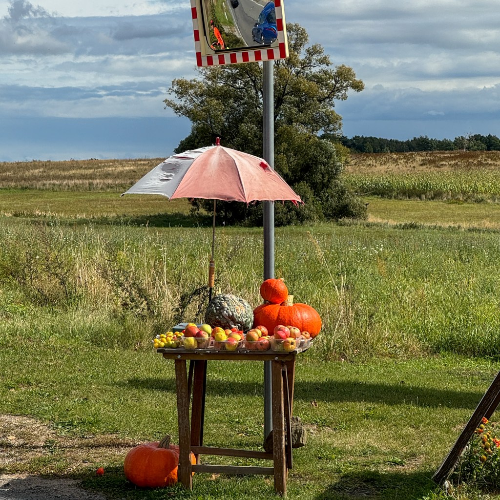 Geschützt: Zwischen Sommerträumen und&nbsp;Herbstrealität