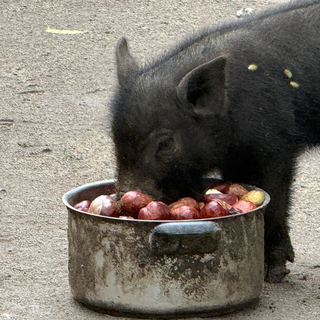 Geschützt: Drei Nächte auf Gut&nbsp;Rudna