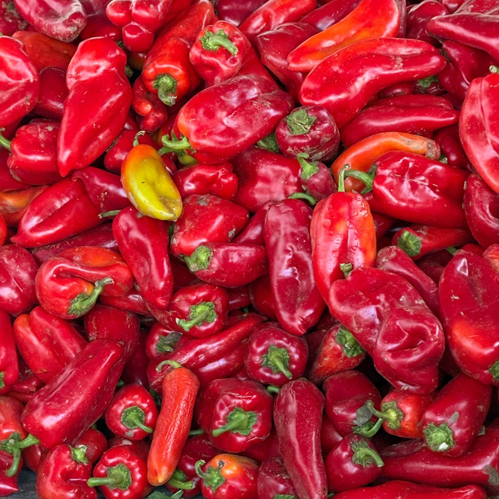 Geschützt: Plakate, Paprika,&nbsp;Perspektiven