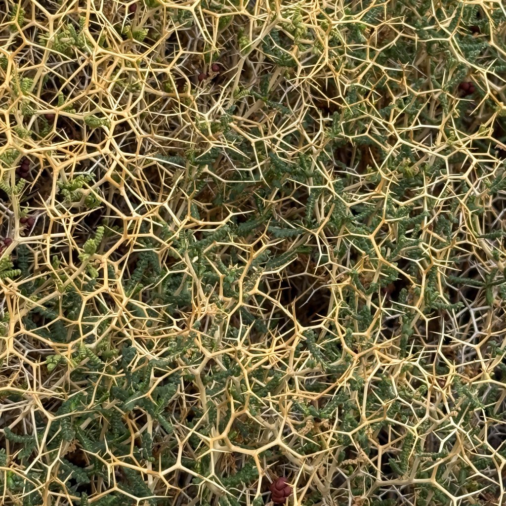 Geschützt: Zornig am&nbsp;Meer